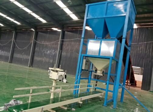 �p�����b�C